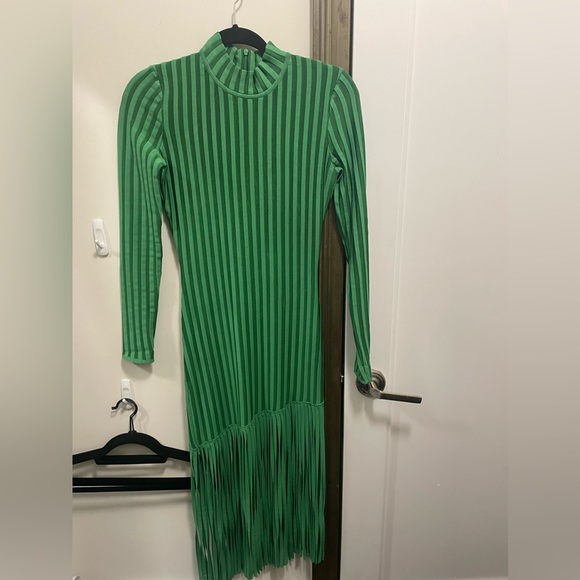 Ronny Kobo Adkins Knit Fringe Midi Dress - Picture 3 of 10